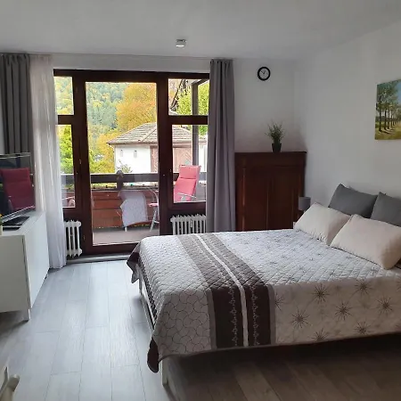 Διαμέρισμα Gemuetliche Am Kurpark In *